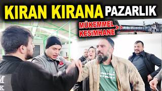 Kıran Kırana Kurbanlık Pazarlığı 2026 - M.G.M Besi Çiftliği Ankara Kalecik