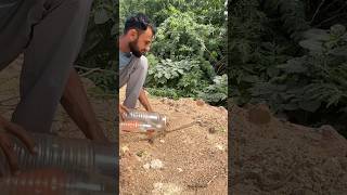 Catching a Wild Snak Snake Rescue Video #snakerescue #naturelovers #kuchera #rajasthan #ytshorts