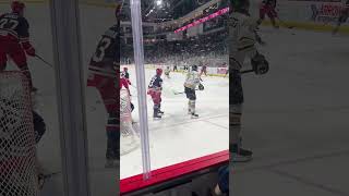 Dinglebury deserved it, maybe this is why he dislikes Kate 😂 #hockey #fphl #hockeylife #defense