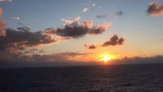 IMG 4396
