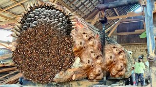 Penemuan mengejutkan! Pesona kayu merah muda raksasa penuh keindahan di pabrik penggergajian kayu