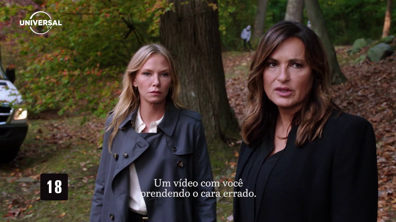 Quando Estreia A 23 Temporada De Law And Order Svu No Brasil?