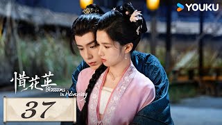 MULTISUB【惜花芷🌼Blossoms in Adversity】EP37 | 胡一天张婧仪，落魄贵女逆风翻盘，共赴新生活！| 胡一天/张婧仪/吴希泽/卢昱晓 | 爱情 古装 | 优酷 YOUKU