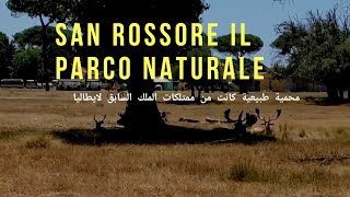 San rossore il parco naturale Pisa  provincia di  Lucca tuscana محمية طبيعية