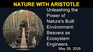 Unleashing the Power of Nature's Built Environment: Beavers as Ecosystem Engineers
