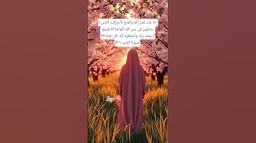 #سورة #النصر #quranic #quran #deen #اكسبلور #makkah #sunnah #shortvideo #allahuakbar #لايك #ترند