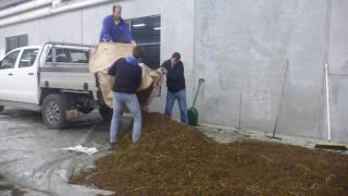 Boronia Pure Absolute Essential Oil Use For Perfume, Fragrance Or Food Flavouring