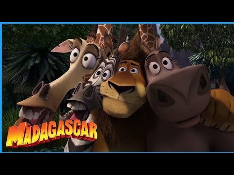 Madagascar New Trailer Ben Stiller Chris Rock 2025 