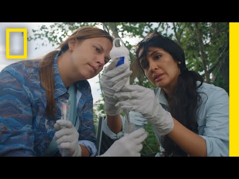 Diving for Cyanobacteria in Lake Huron | National Geographic