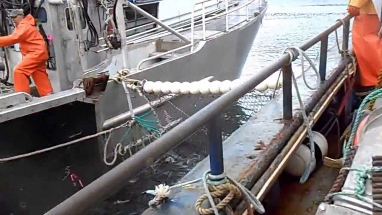 EXPRESS John Clutter at Katoi hatchery Afognak Island 8 11 13