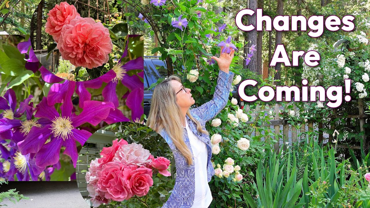 Secret Cottage Garden Tour June 2025 | Roses, Iris, Petunias and More!