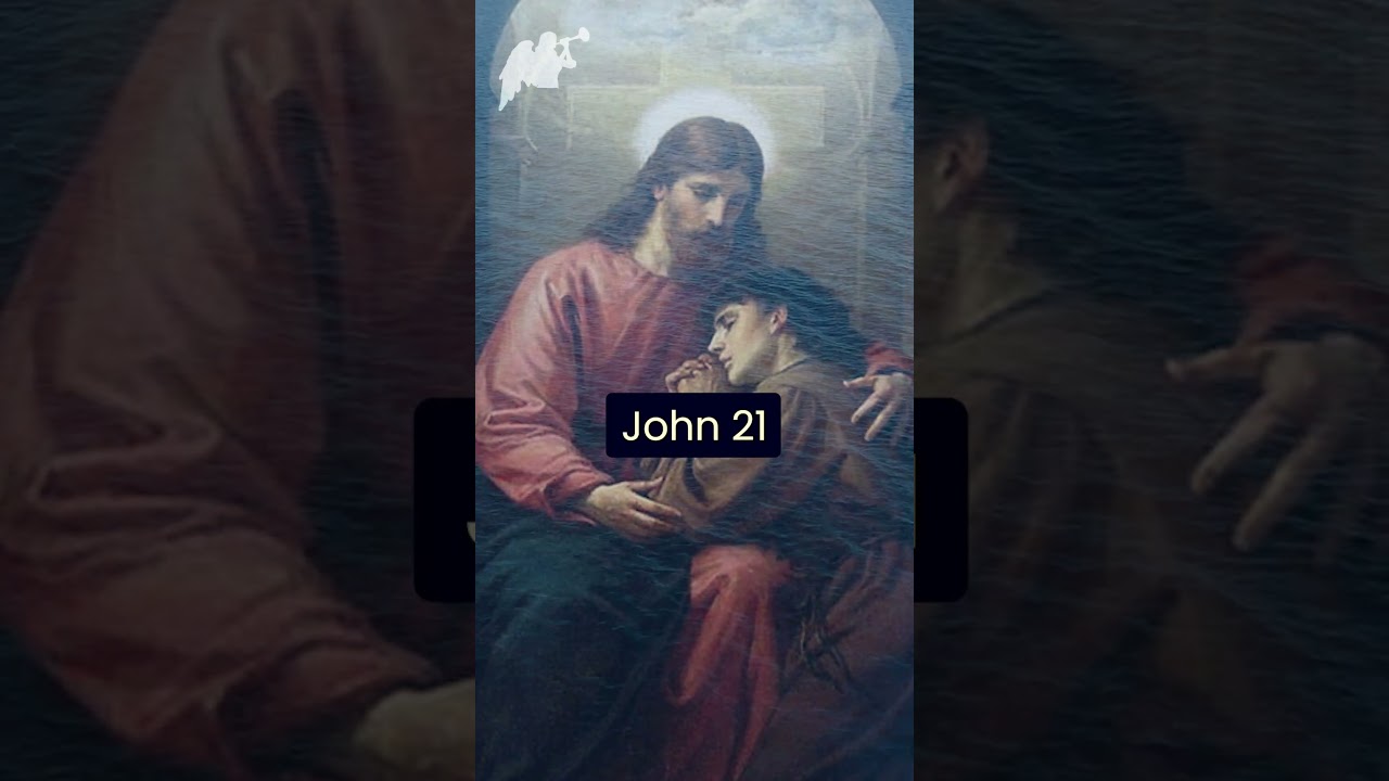 If we really knew what Confession was...Fr John Amsberry. 