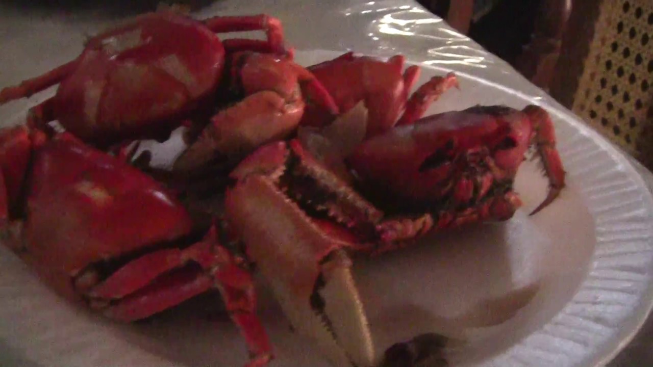 Los Punches de la Niña Dina El Salvador 503 YouTube