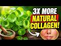 Stop Wasting Money on Collagen Peptides: This Plant Boosts Natural Collagen Three Times Faster!