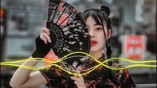 【Chinese Song Remix 2022】- 2022 年最劲爆的DJ歌曲 - Best China Remix 2022