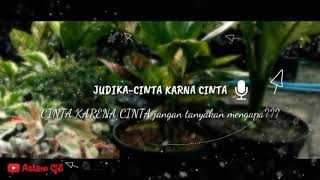 Judika-cinta karena cinta--status wa update terbaru 2020