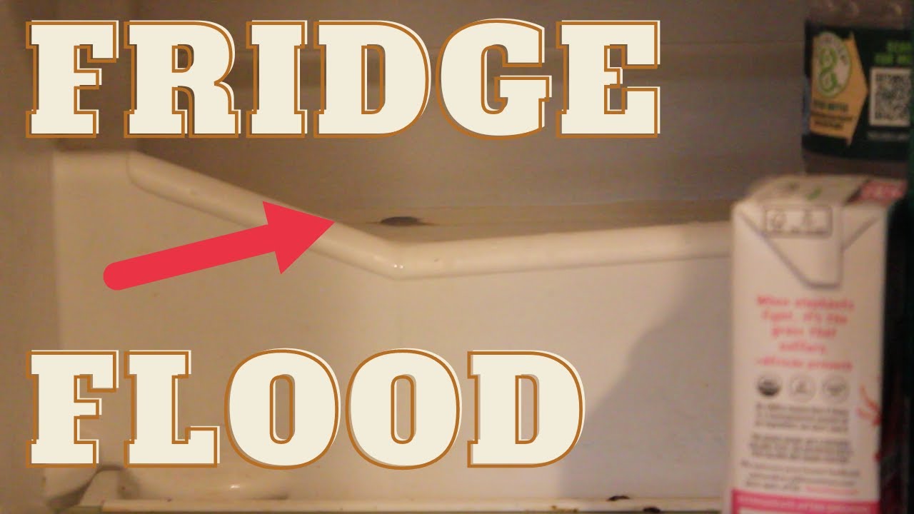 Fridge Leaking Water 30 Second Fix YouTube
