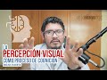 Teoría de la composición: la percepción visual como proceso de cognición.