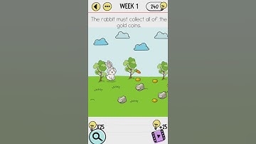 Brain Test Week 1 The Rabbit must Collect all of the Gold Coins