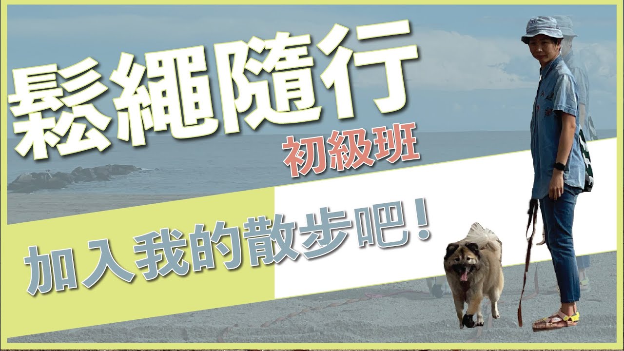 鬆繩隨行 | 練習技巧（上）：距離與獎賞成反比，在外面也能找回狗狗的注意力