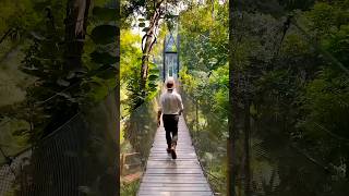Places On Earth That Don’t Feel Real #travel #adventure #nature #explorepage