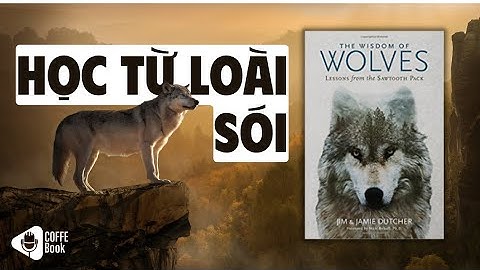 Những Bài Học Quý Giá Từ Loài Sói| Quyển Sách 
