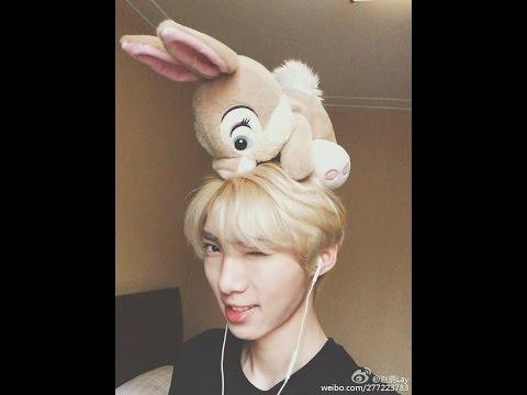 【赵磊】20160321 视频周记WEEK 02