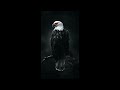 Hard/Dark Trap/Dark Sample Beats ’'Red Eye’’