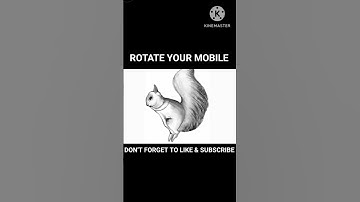 Rotate your mobile and see magic// #opticalillusion #shots #fact #youtubeshorts #shortsfeed