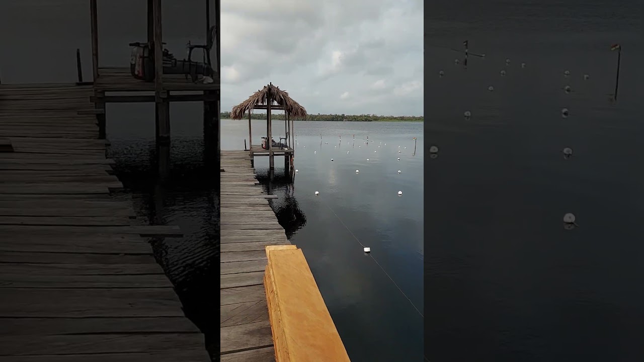 Contact Nzulezu at 0244606762. 