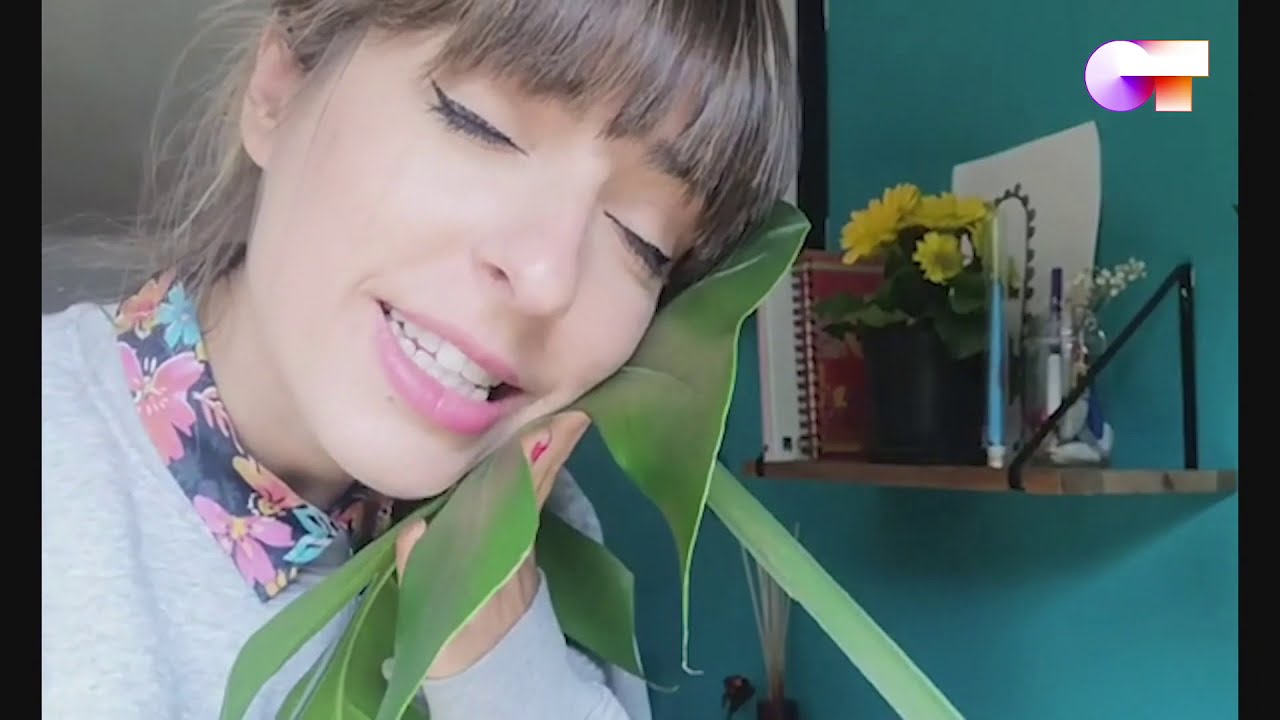 VUELVEN a la ACADEMIA | OT 2020