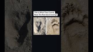 Footprints found in the Red Sea! Proof the Bible is true