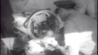 Space Monkeys Able And Baker