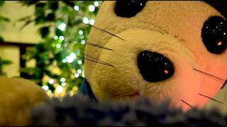 Let Me Tuck You In & Quiet Your Mind 🦭🌌💤 (Deep Sleep ASMR)