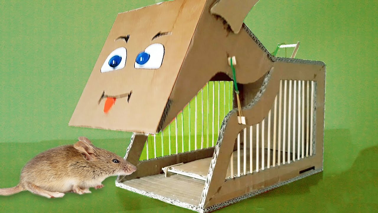How To Make An Amazing Rat/Mouse Trap From Cardboard (DIY Craft) YouTube
