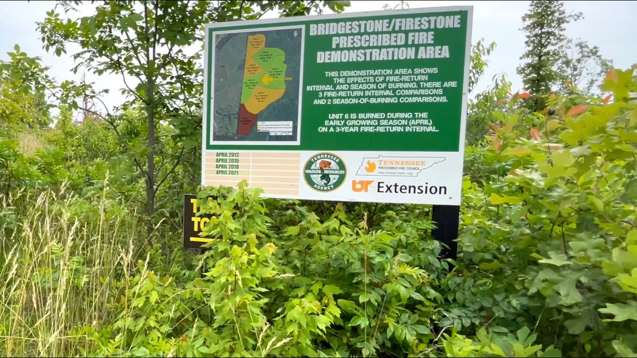 Bridgestone Firestone WMA's Commitment to Wildlife TN WildCast 358