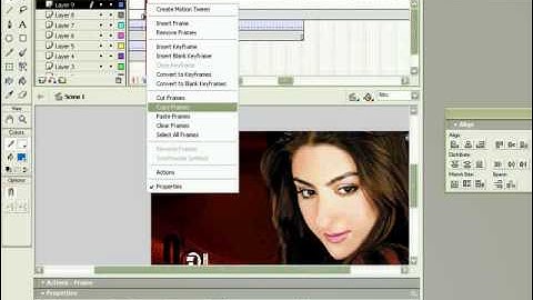 slide animation with music make in flash mx.avi