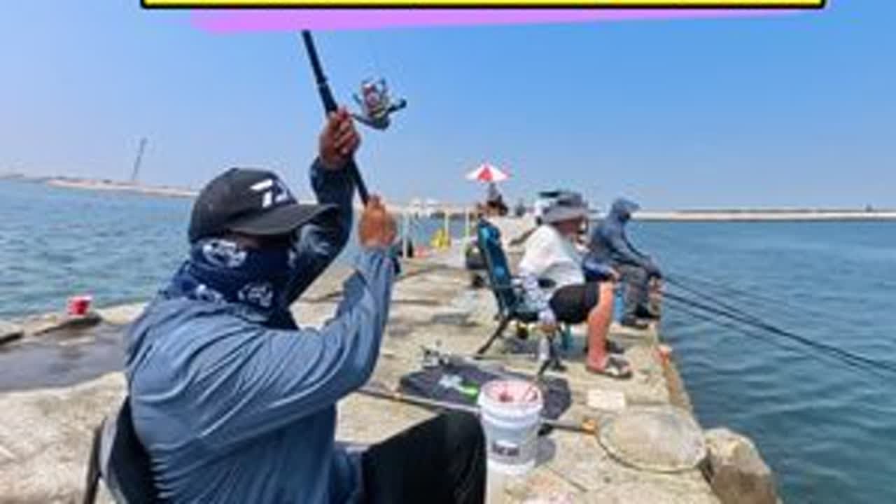 钓鲻鱼调漂找底 鲻鱼装备 孤东海堤 鲻鱼 乌头 钓鱼日记