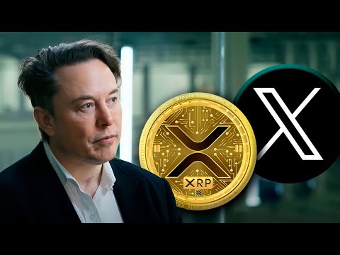 Elon Musk Tantang SEC! Ripple & Coinbase Dukung Reformasi Regulasi Kripto!