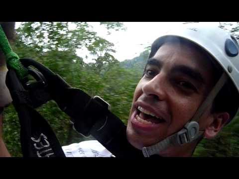 Canopy en el Bosque Lluvioso de Costa Rica - Parque Nacional Braulio Carrillo