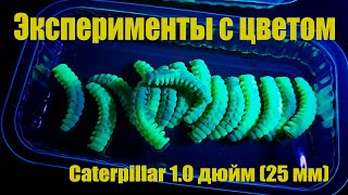 Эксперименты с цветом Caterpillar 1.0 дюйм (25 мм) Свечение в ультрафиолете