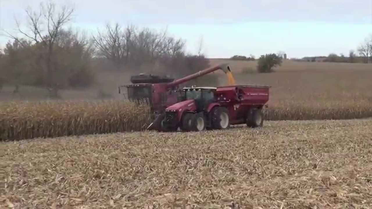 2014 Iowa Corn Harvest near Lohrville YouTube