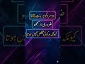 Maula Ali Ne Farmaya 💝💯 #maulaali #wisdom #knowledge #quran #quotes #love #viral