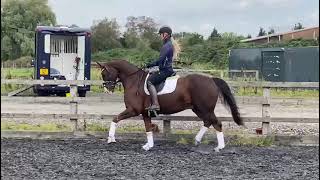 Ad ref 263438 Video 1