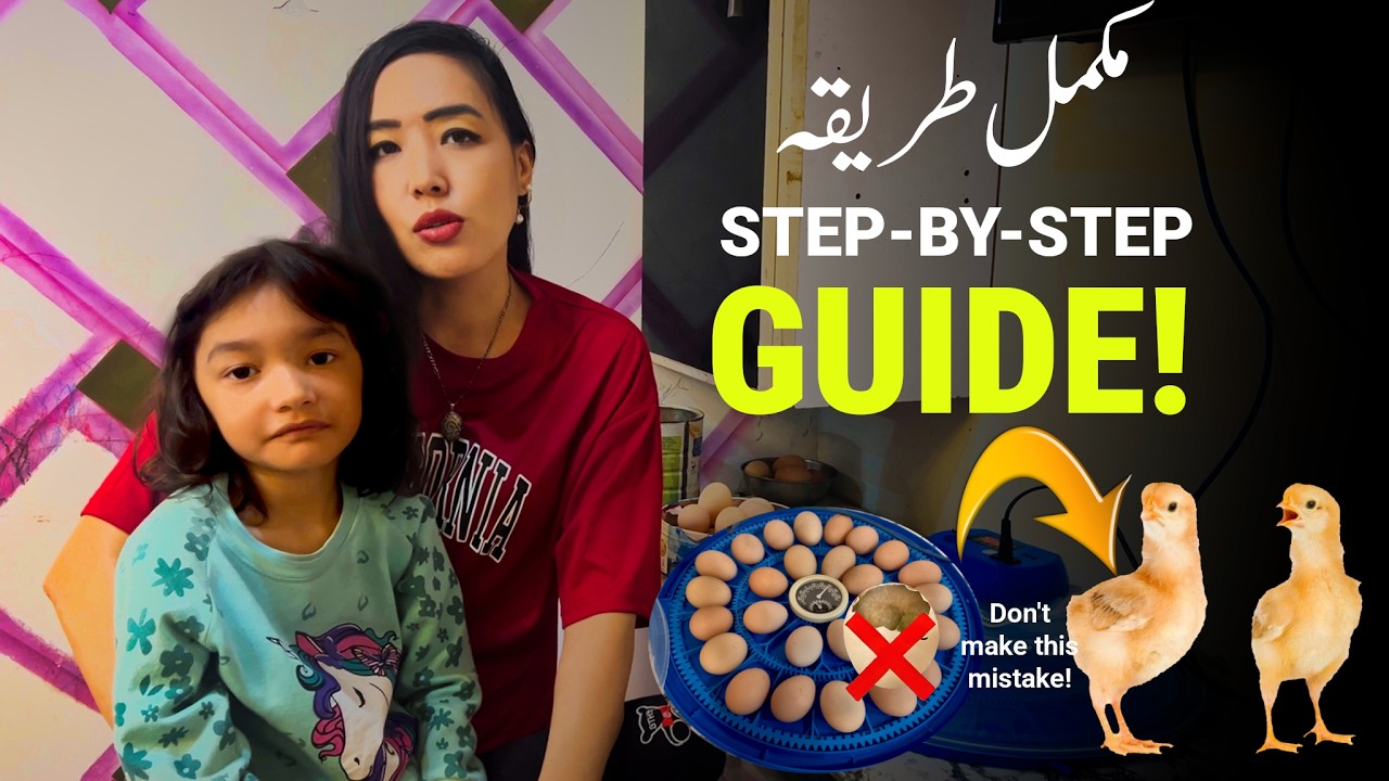 Успешное выведение цыплят в домашних условиях: полное пошаговое руководство