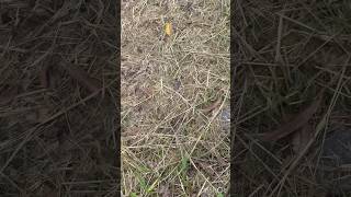 How To Dry Any Amount Of Gr In A Matter Of Minutes