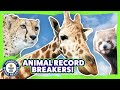 A day out with animal record breakers! - Guinness World Records