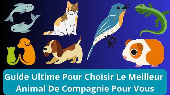 Le guide ultime pour choisir le meilleur animal de compagnie pour vous