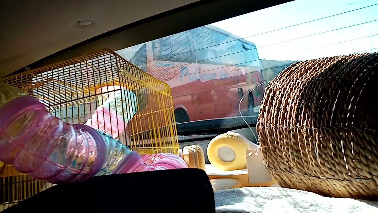 busscar vista bus bus de minera (ex pullman bus) (Santa Cruz)