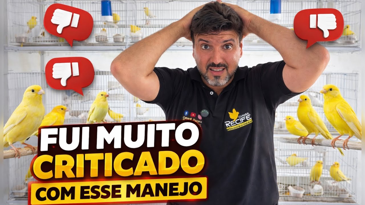 FUI MUITO CRITICADO COM ESSE MANEJO